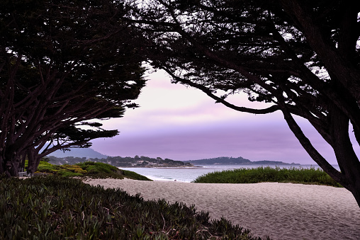 Seascape of Monterey Bay at Sunset in Pacific Grove, California, USA