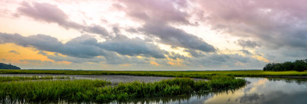 istock Parrot Creek Panoramic, Charleston, South Carolina 186133143