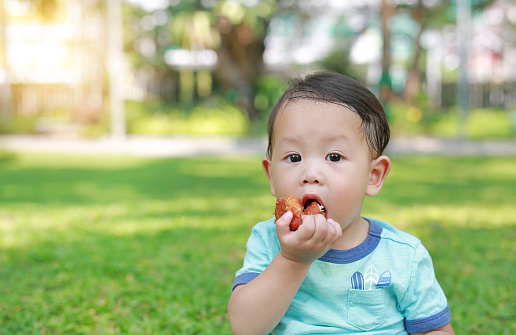Asian baby boy enjoy eating fried chicken in the green garden outdoor.