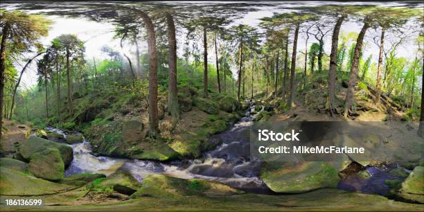 Panorama Arroyos Cascadas Puente Woodland Escena Sheffield Eng Foto de stock y más banco de imágenes de Agua