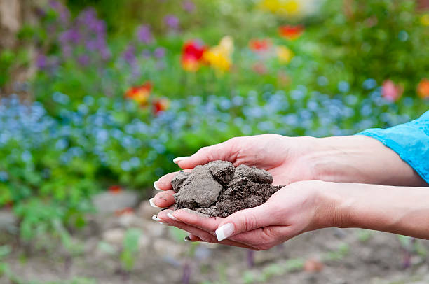 hands with soil hands with soil in front of colourful background kultivieren stock pictures, royalty-free photos & images