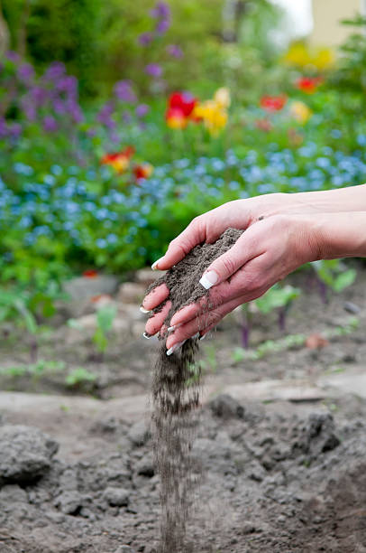 hands with soil hands with soil in front of colourful background kultivieren stock pictures, royalty-free photos & images