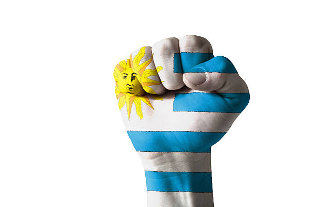 Fist painted in colors of uruguay flag stock photo