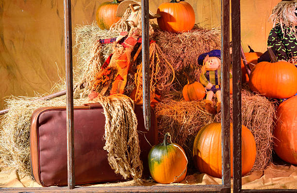 istock Autumn holiday display. Series, see more..... 186137977