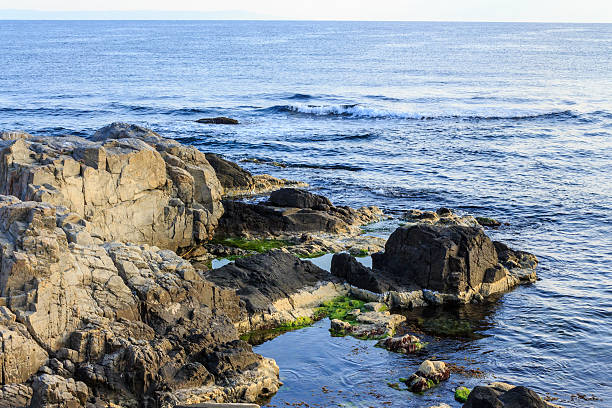 istock rocky sea coast with seaweed 186138439