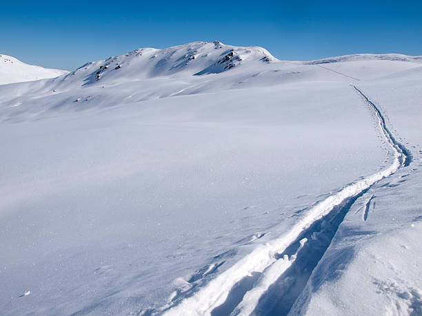 istock Langlauf tracks in the snow 186139901