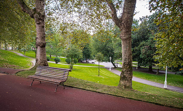 Green trees in park Bilbao Spain