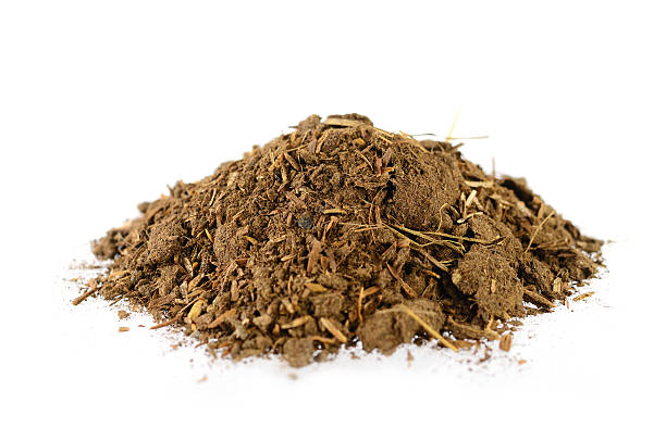 istock Soil Organic compost Fertilizer for plantation 186144318