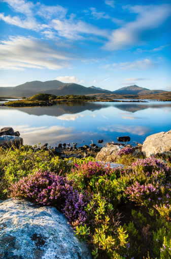 A picture postcard view of dawn at Loch Druidibeag South Uist Outer Hebrides Scotland with mountains, heather, blaeberry and a smooth loch reflecting the clouds