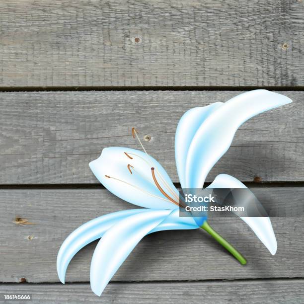 실감나는 블루 릴리 아이리스입니다 벡터 일러스트레이션 고요한 장면에 대한 스톡 벡터 아트 및 기타 이미지 - 고요한 장면, 꽃-꽃의 구조, 꽃밥