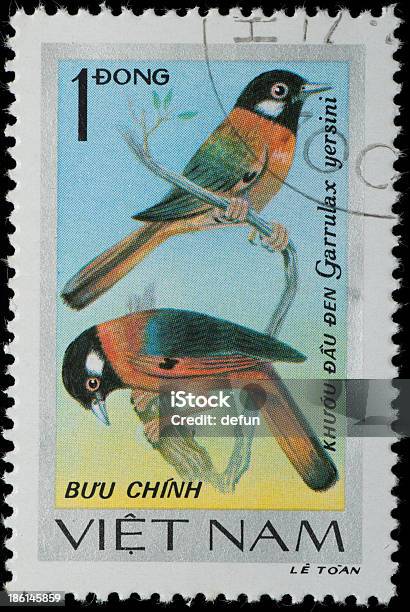 Vietnam Briefmarke Tier Songbird Stockfoto und mehr Bilder von 1978 - 1978, Altertümlich, Bildhintergrund