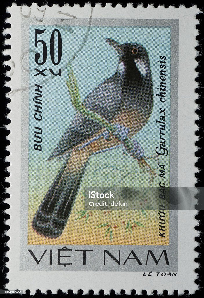 VIETNAM stamp animal songbird VIETNAM - CIRCA 1978: A stamp printed in Vietnam shows animal songbird, circa 1978 1978 Stock Photo