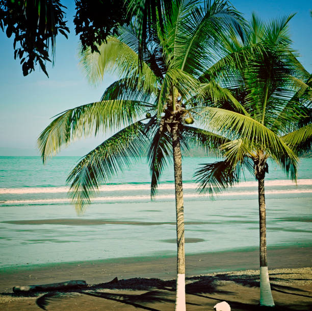 playa de costa rica, con palmeras - costa rican sunset fotos fotografías e imágenes de stock