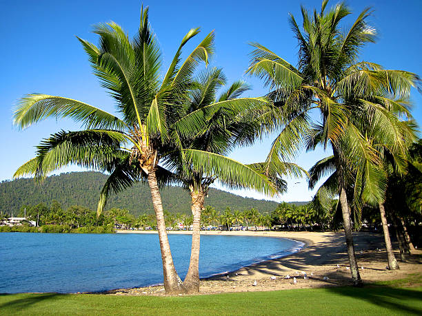 Airlie Beach in the Whitsundays stock photo