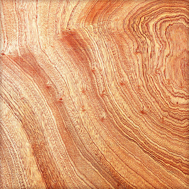 istock Texture of wood background closeup 186148627