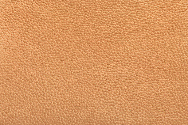 istock texture of skin 186149047