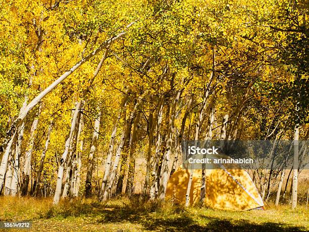 Photo libre de droit de Campement banque d'images et plus d'images libres de droit de Activité de loisirs - Activité de loisirs, Arbre, Automne