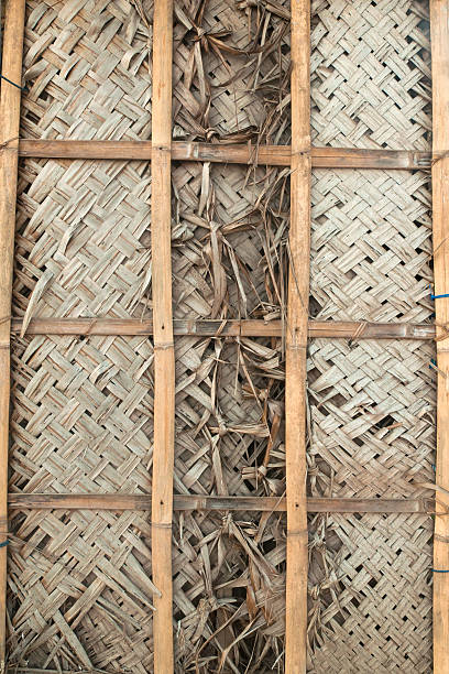 Bamboo texture stock photo