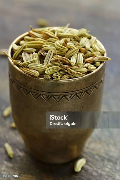 Makro Schuss Fenchel Samen Aromatische Gewürze Würzzutaten Stockfoto und mehr Bilder von Asiatische Kultur