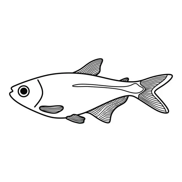 Vector illustration of Hand drawn Cartoon Vector illustration buenos aires tetra fish icon Isolated on White Background