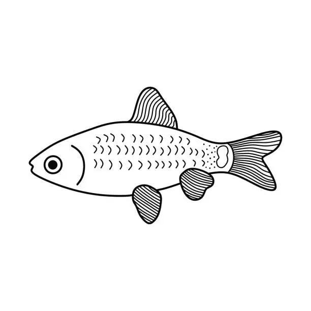 Vector illustration of Hand drawn Cartoon Vector illustration gold chinise barb fish icon Isolated on White Background