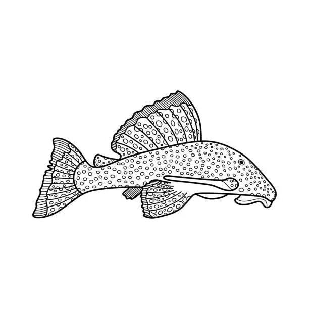 Vector illustration of Hand drawn Cartoon Vector illustration suckermouth catfish icon Isolated on White Background
