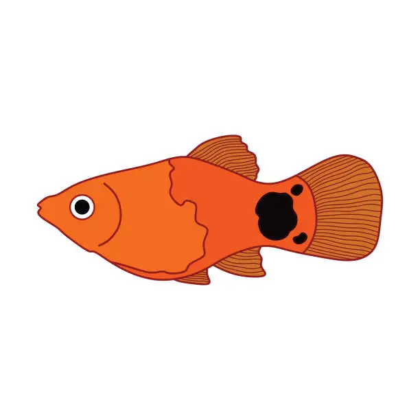 Vector illustration of Cartoon Vector illustration  platy icon Isolated on White Background