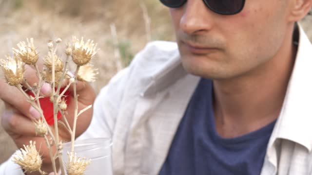 A young adult man in a hat and glasses examines dried wildflowers in natural growing conditions and collects samples in a container