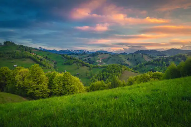 Photo of Majestic spring countryside landscape at sunset, Moieciu de Sus, Romania