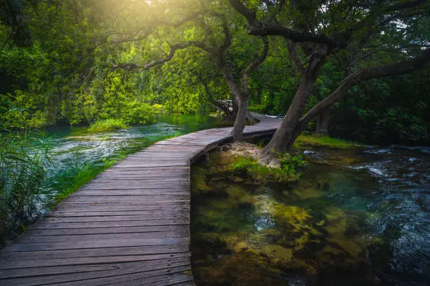 Fantastic touristic wooden bridge and pathway over the Krka river in the Krka National Park, Skradin, Dalmatia, Croatia, Europe