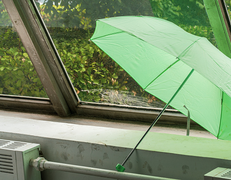 Green umbrella on rainy day