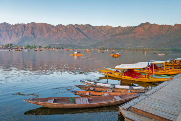 istock Transport Boats in Dal lake 1861561696