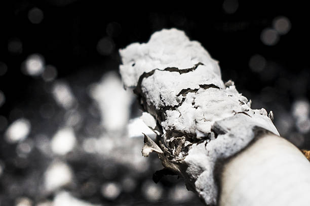 istock Cigarrete in the ashtray 186156918