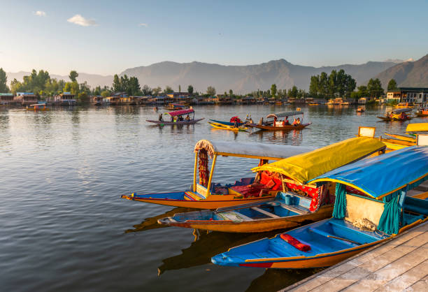 istock Colorful Shikara Boats 1861570489