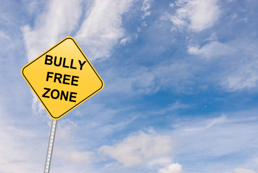 bully free zone road sign