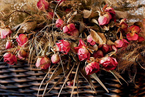 The frame features a bouquet of air-dried purple Eustoma grandiflorum. Its deep purple petals are tight and curled due to dehydration, boasting a rich, matte texture, with some petal edges showing a gradient of light purple and brown tones. The slender stems remain green, intertwined with yellow-green filamentous filler grass, creating a textural contrast between the fluffy grass and the compact eustoma. A light purple ribbon hangs naturally on the left side of the bouquet, set against bright warm natural light. The blurred light and shadow enhance the layering of the deep color and dry texture of the purple eustoma, presenting the unique retro and serene beauty of dried flowers as a whole.