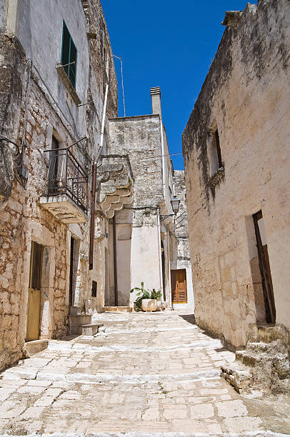 istock Mr Alleyway. Missive chicks. Apulia. Italy. 186158473