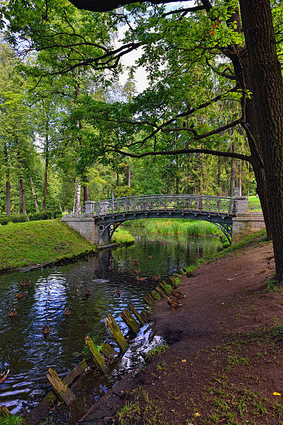 istock Summer landscape with lake and bridge in Gatchina park, 186160379
