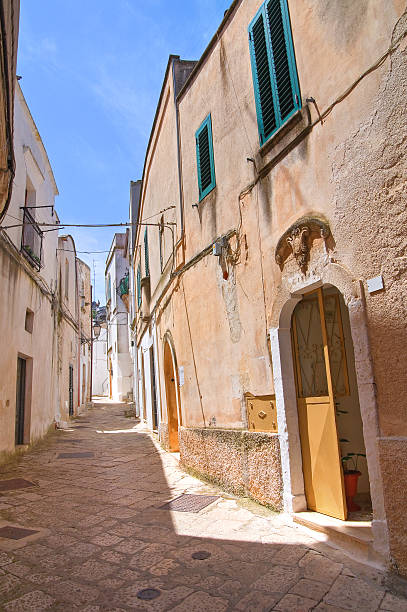 istock Mr Alleyway. Missive chicks. Apulia. Italy. 186160516