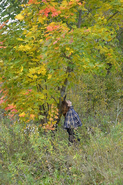 Jovem de pé por uma árvore de Outono - fotografia de stock