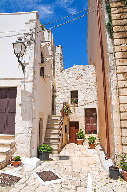 istock Mr Alleyway. Missive chicks. Apulia. Italy. 186160734