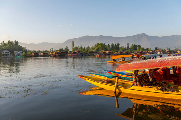 istock Colorful Shikara Boats 1861611598