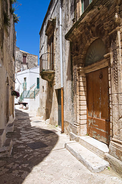 istock Mr Alleyway. Missive chicks. Apulia. Italy. 186162087