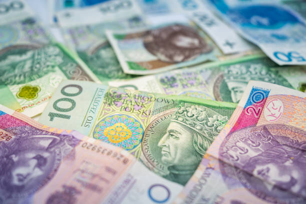 istock Polish zloty banknote background currency 1861626496