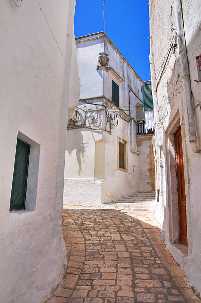 istock Mr Alleyway. Missive chicks. Apulia. Italy. 186164293