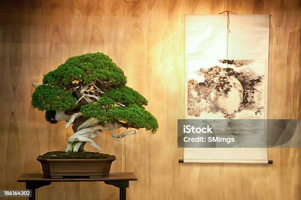 Bonsai Stockfoto und mehr Bilder von Bonsai - Bonsai, Japan, Japanische Kultur