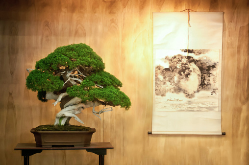 A very old bonsai tree on a table with a landscape painting hanging on the wooden wall behind.