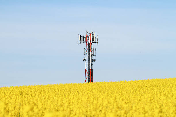 Gsm transmitter on a field stock photo