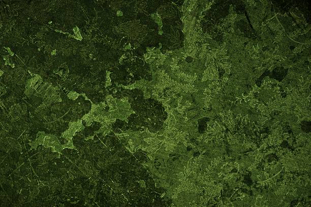 istock Grunge Floral Green 186164501