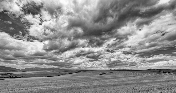 A view over stubbly grain fields with a cloudy sky and rolling hills in the Western Cape, South Africa.